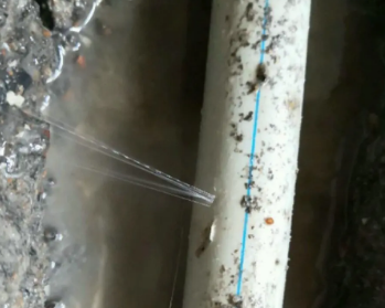 清苑区卫生间测漏水多少钱